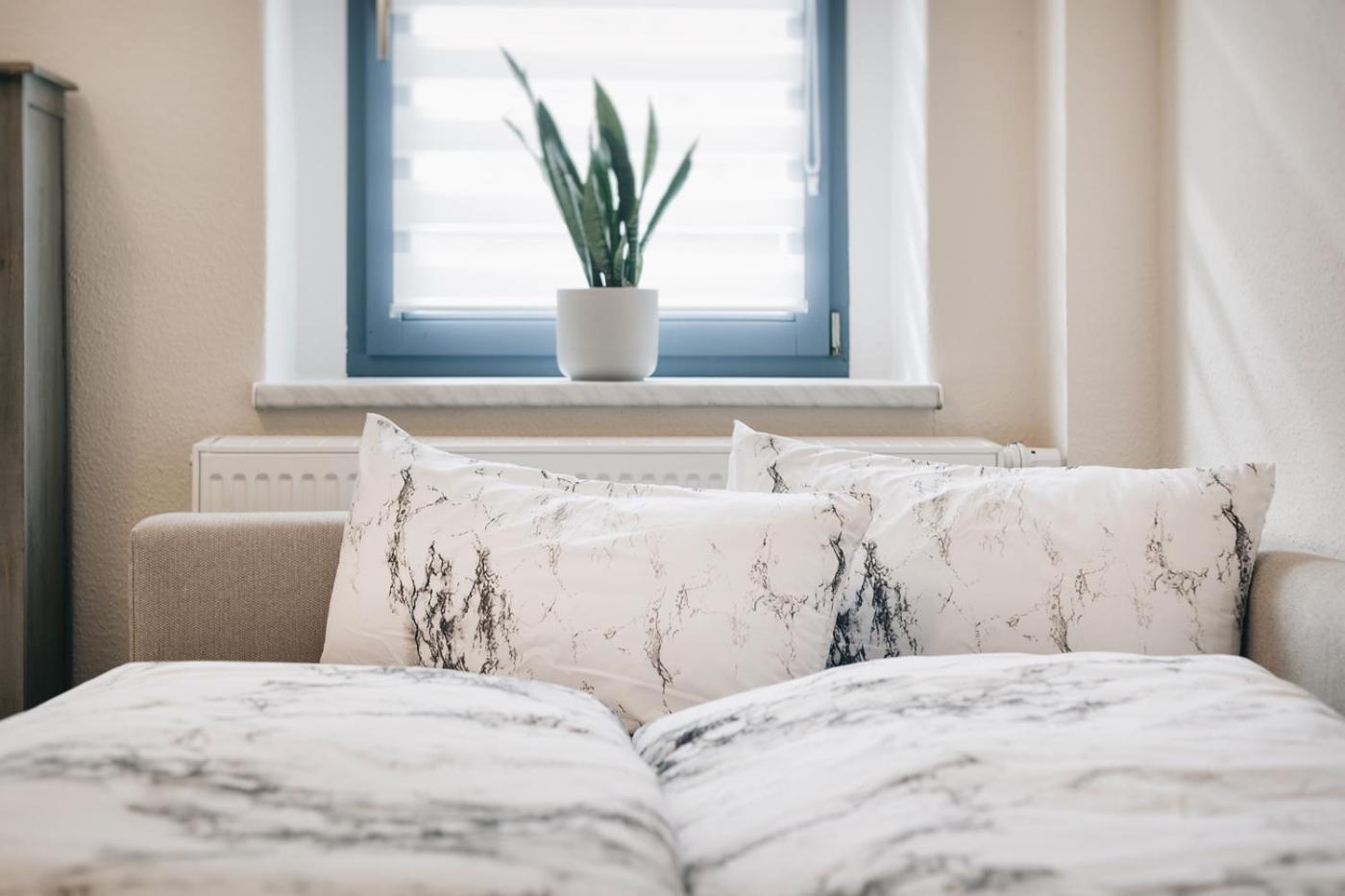 Apartmenthaus Meißen Exteriér fotografie