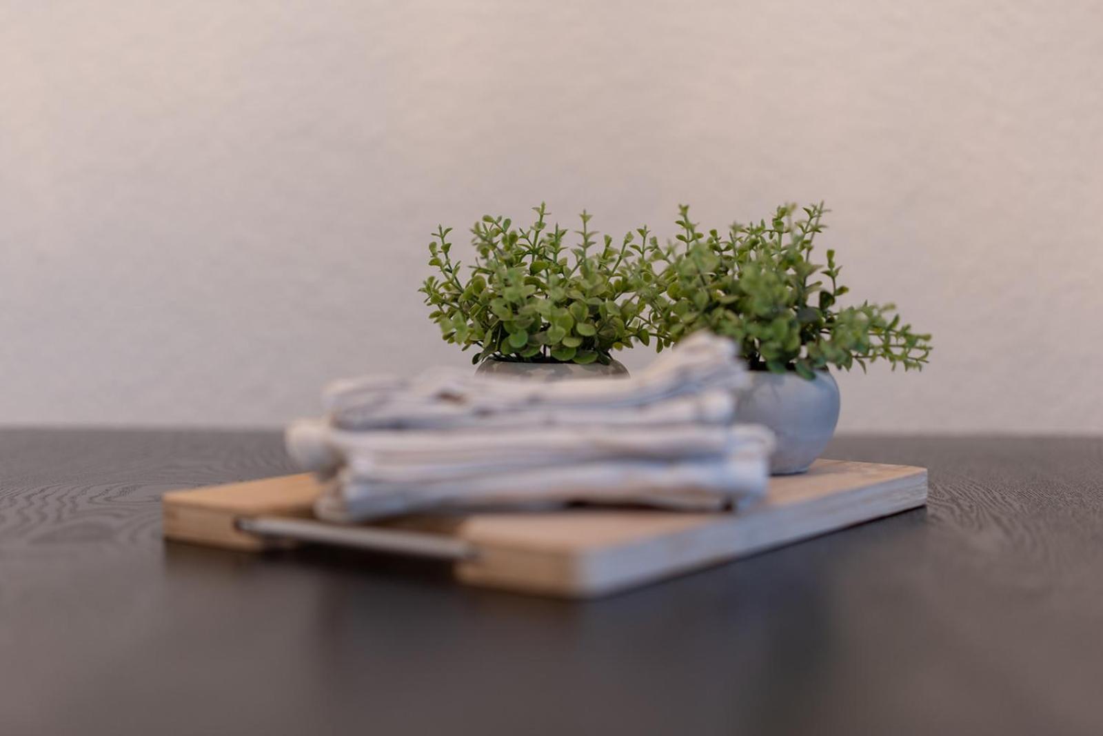 Apartmenthaus Meißen Exteriér fotografie